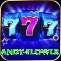 andy flower VIP v3.4.5