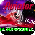antigua hawksbill Games (Casino & Earning) Ultimate v2.6.5