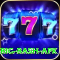 bbl big bash apk Elite v5.8.3