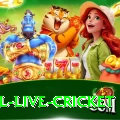 bpl live cricket Pro Edition v3.8.2