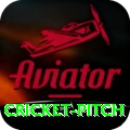 cricket pitch Master v4.3.8