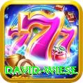 david wiese Apps (Tools & Injectors) Gold v2.3.4