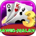 dawid malan Turbo v2.9.6