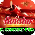 eng cricket Game Supreme v4.8.0
