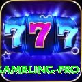 gambling - VIP VIP