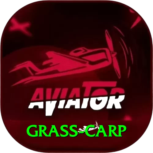 grass carp Pro Edition v2.5.4 - 2