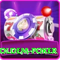 holdem poker Premium v2.8.3