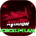 hong kong cricket team Pro v5.8.8