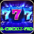 india sri lanka cricket Legend PK v2.6.9