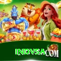 indvsa Pro Edition v2.0.6