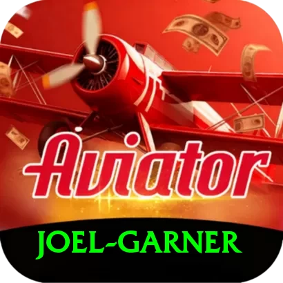 joel garner VIP Pro v3.5.2 - 2