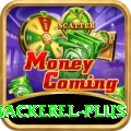 king mackerel Casino Elite v4.3.7