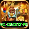 make money betting cricket pk VIP Pro v4.1.8