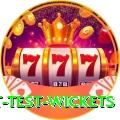 most test wickets Elite v2.5.9
