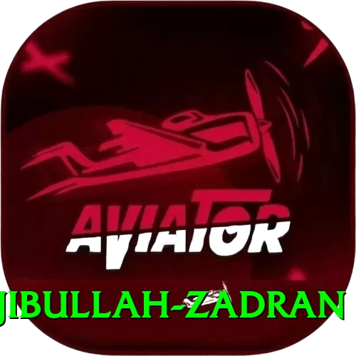 najibullah zadran Pro Max v3.7.9 - 2