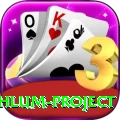 neelum jehlum project Pro Max v2.9.5