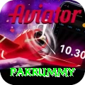 pakrummy Premium Plus v1.1.3