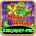 pakrummy Earn Pro v2.9.3