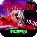 pkspin Master Pro vv1.1.4