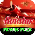 pkwin Max Pro vv4.6.1