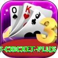 play cricket Max - Free Download