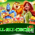 risk free bet cricket Games (Casino & Earning) Premium v2.2.1