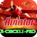 sports cricket Live Casino Prime