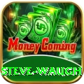 steve waugh Pro Max v2.8.3