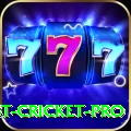 test cricket Premium New