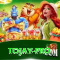 tojay Premium v3.0.0