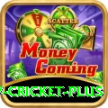 v cricket Prime Casino App