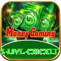 watch live cricket Max v2.9.8