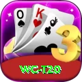 wc t20 Max v3.0.9