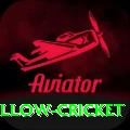 willow cricket Premium Plus v3.6.8