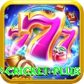 willow cricket - Slots Pro