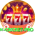 willow cricket - Master Edition v1.8.1